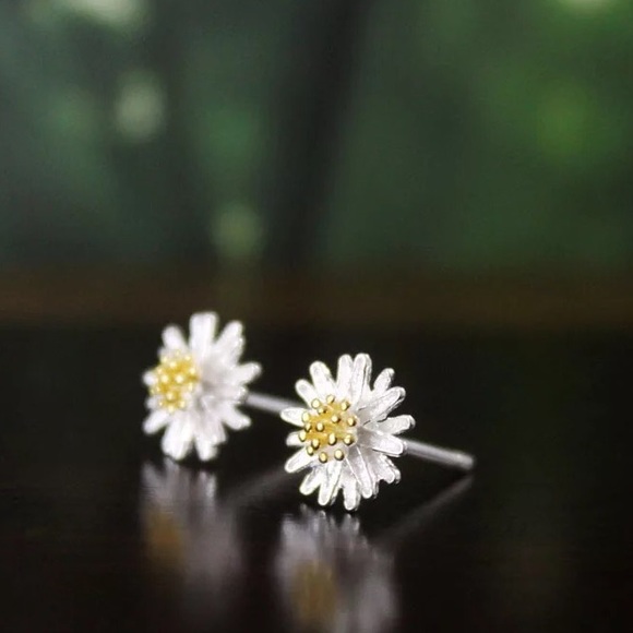 Jewelry - Earrings 💫